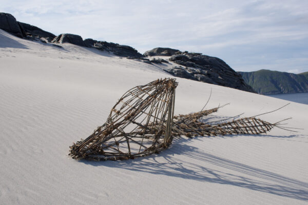 D&O work in progress D&O work in progress